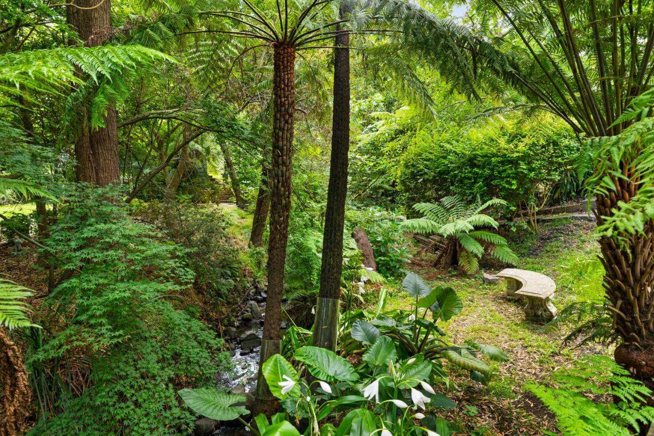 Villa Paddys Creek Retreat à Upwey Extérieur photo