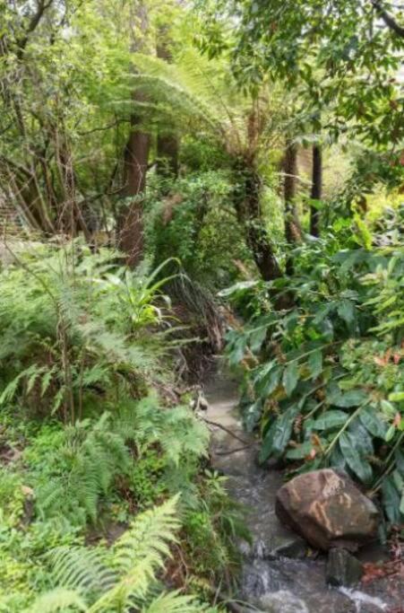 Villa Paddys Creek Retreat à Upwey Extérieur photo